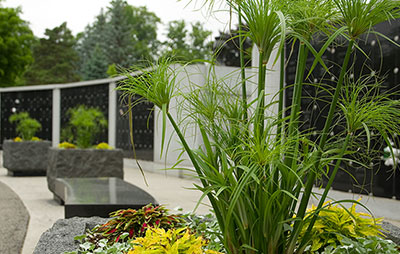 Plants in front of cemetery lockers