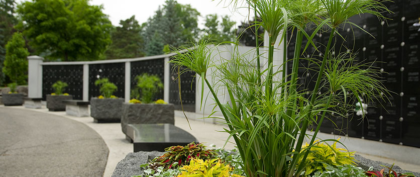 Plants in front of cemetery lockers