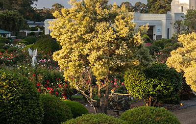 Cemetery grounds