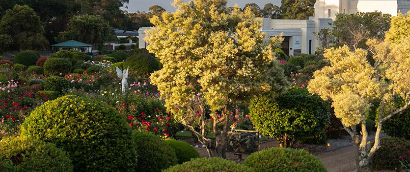 Cemetery grounds