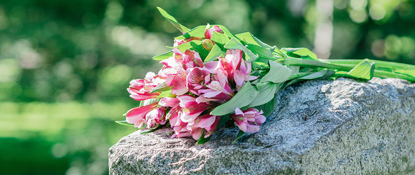 Bunch of pink flowers sitting on stone headstone in cemetery