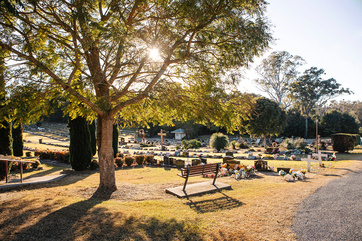 View of graveyard with gravestones behind large tree